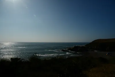 DSC_2718 (Large).JPG